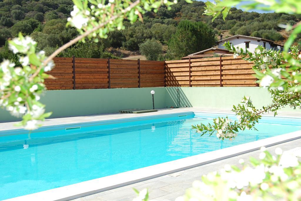B&B Il Mirto Di Paola Torpè Exterior foto